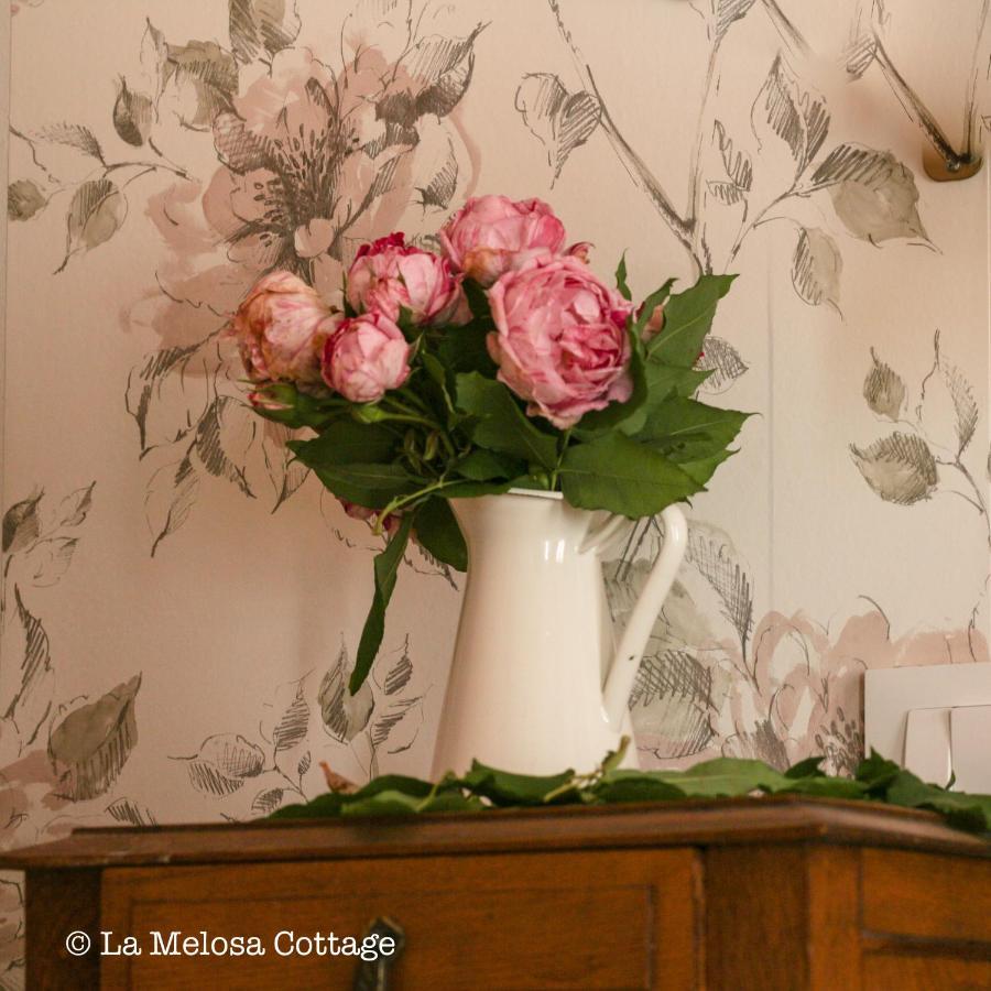 La Melosa Cottage クディレロ エクステリア 写真